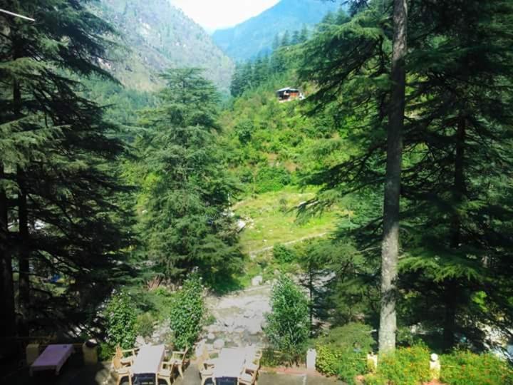 Hotel Deep Forest Kasol Ngoại thất bức ảnh